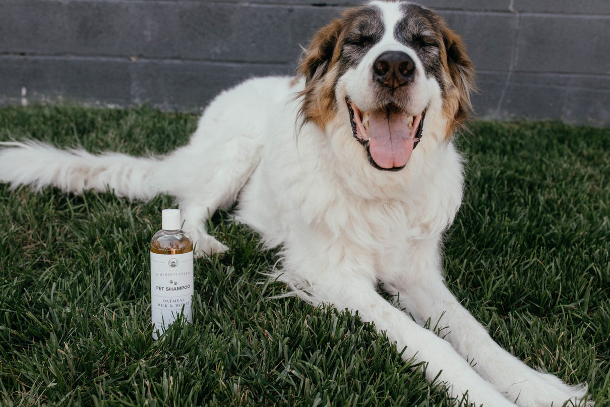 Pet Shampoo image 1